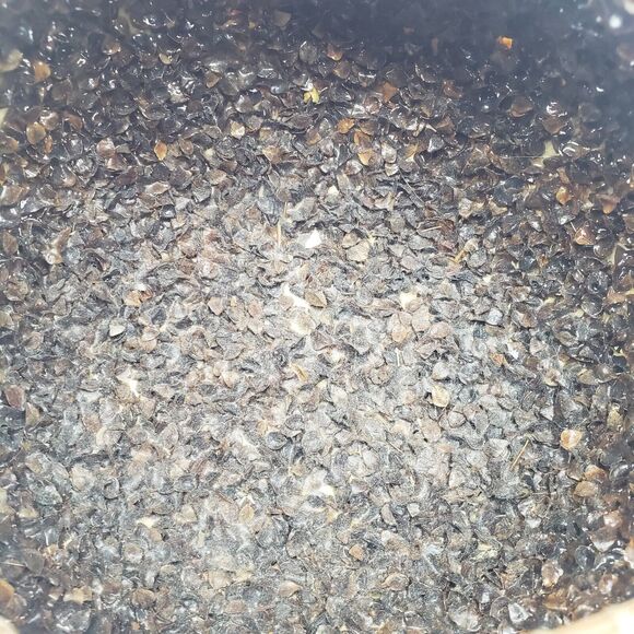 Hand Carved Hand Painted Gourd w/ marsh lotus birds & dragonflies. Artist signed - Picture 8 of 15